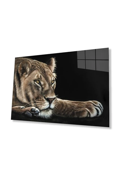 Aslan Cam Tablo 4mm Dayanıklı Temperli Cam ürün görseli 1