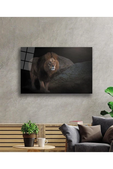 Aslan Cam Tablo 4mm Dayanıklı Temperli Cam - Resim 2