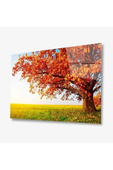 Doğa Cam Tablo 4mm Dayanıklı Temperli Cam ürün görseli 1