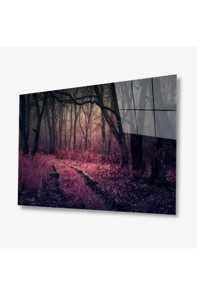 Doğa Cam Tablo 4mm Dayanıklı Temperli Cam ürün görseli 1