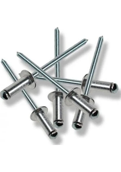 POP PERÇİN 4X12 (adet) ürün görseli 1