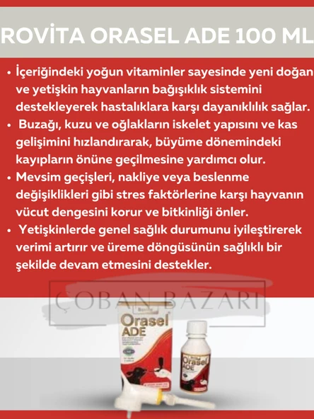 Royal Rovita Orasel ADE 100 Ml ürün görseli 1