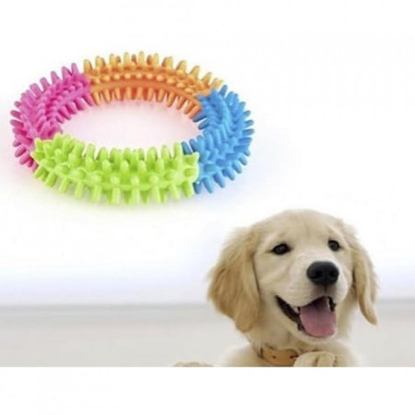 Köpek Isırma Çemberi - Resim 2