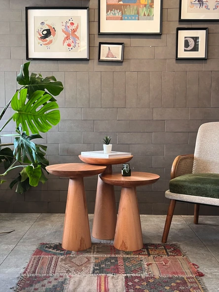 3'lü Zigon Mantar Sehpa Mushroom / Masif Ahşap Modern Yan Sehpa Takımı (Kayın) ürün görseli 1
