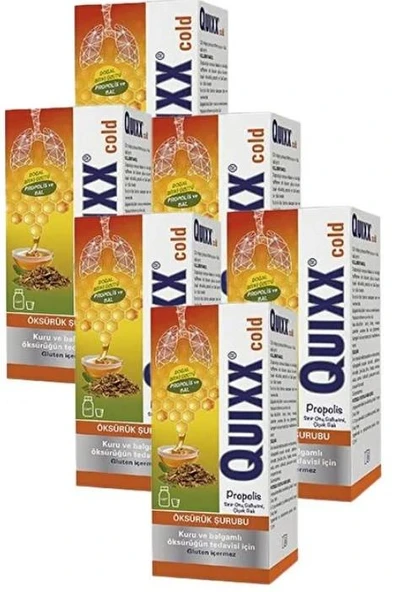 Quixx Cold Propolis Şurup 100 Ml 6'Lı PAKET (SKT:03/2027) ürün görseli 1