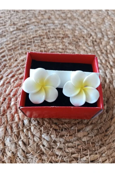 C&On Design ⭐ Lotus Çiçeği Küpe - Işıltılı ve Zarif Tasarım, Kadın Aksesuarı--BEYAZ ürün görseli 1