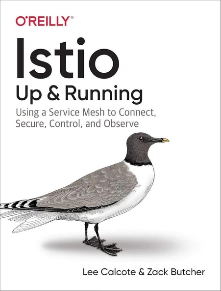 Istio: Up and Running Using a Service Mesh to Connect, Secure, Control, and Observe - Calcote, Butcher ürün görseli 1