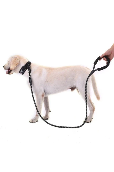 Reflektörlü Köpek Tasması 130 Cm. - Resim 2