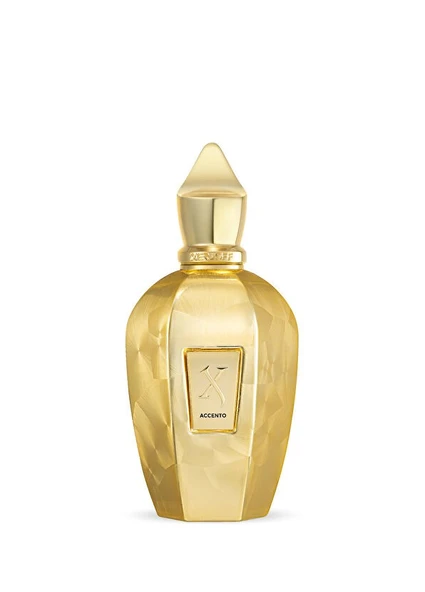 Xerjoff Accento Overdose EDP 100 ml ürün görseli 1