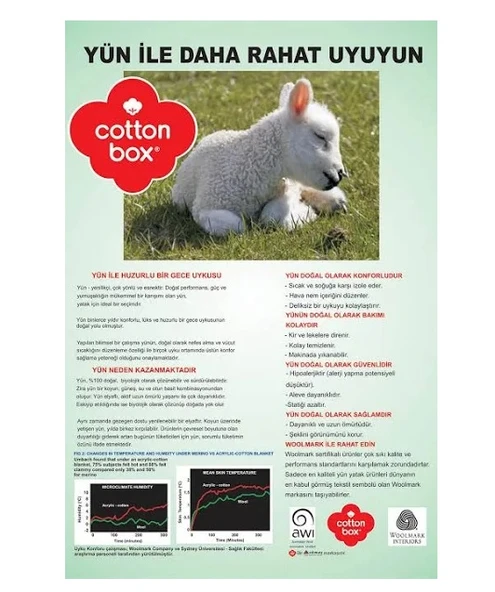 Cotton Box %100 Yün Yastık (50x70) - Resim 3