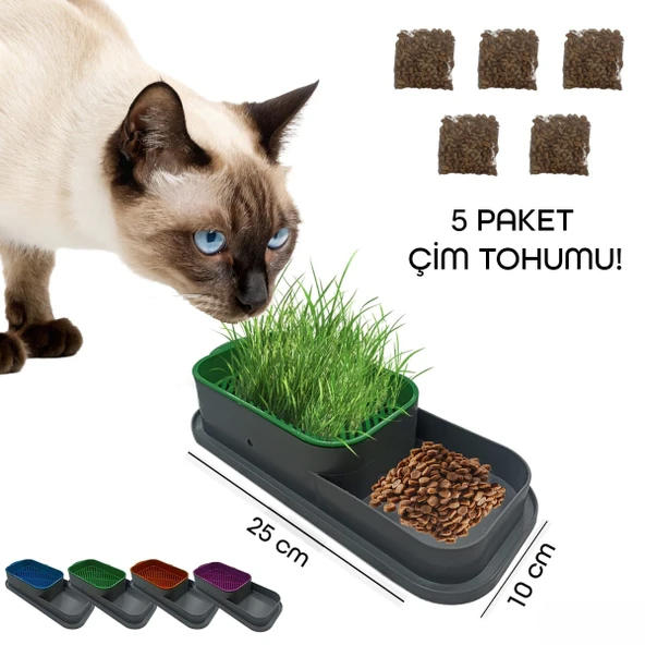 Topraksız Kedi Çimi Kabı ürün görseli 1