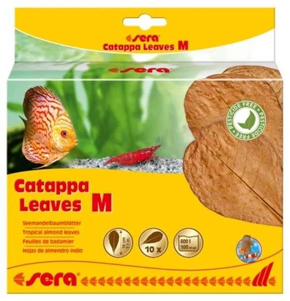 Sera Catappa Yaprağı Medium 18 cm 10 Adet ürün görseli 1