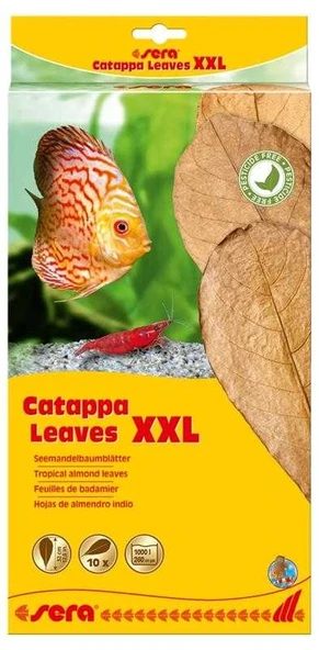 Sera Catappa Yaprağı XXL 32 cm 10 Adet ürün görseli 1