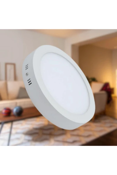 Borsan Yuvarlak Led Panel Downlight Sıva Üstü 24W Beyaz ürün görseli 1