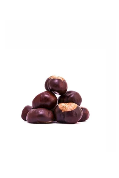 Yenilmez At Kestanesi Tane 50gr ürün görseli 1