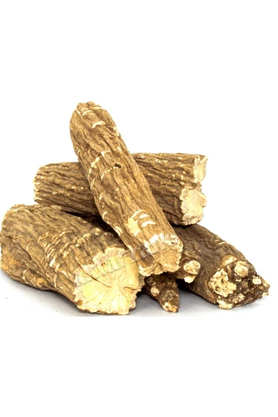 Sabun Otu Çayı Kökü 1 Kg ürün görseli 1
