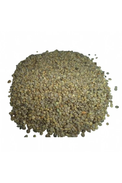 Ispanak Tohum Tane 30 Gr ürün görseli 1