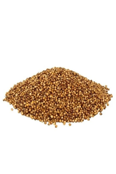 Kişniş Tane Kinzi 500 gr ürün görseli 1