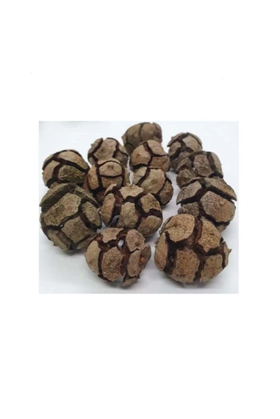 Servi Kozalağı 100 gr ürün görseli 1