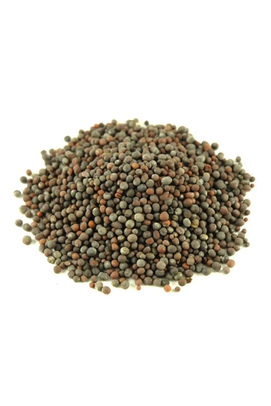 Hardal Tohum Tane Sarı 50 GR ürün görseli 1