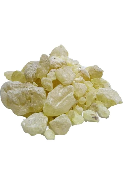 Sandaloz Sakızı (Pistacialentiscus) 500 gr ürün görseli 1