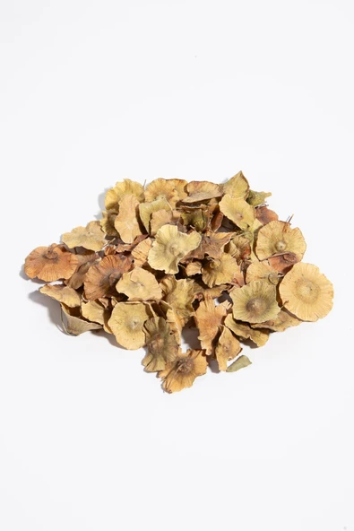 Karaçalı Dikeni Otu Çayı 100 gr ürün görseli 1