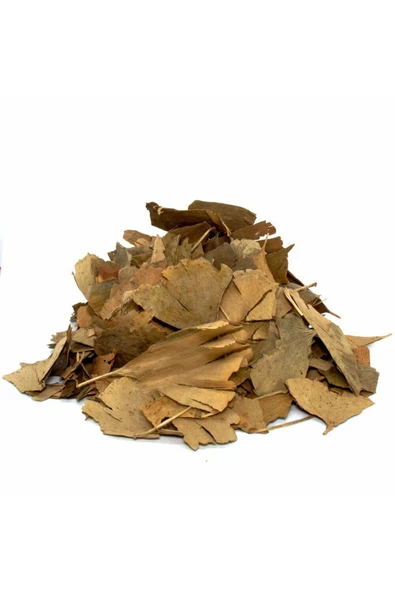 MabetAğacıYaprak30gr ürün görseli 1