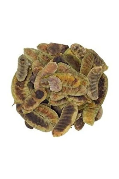 100 gr Açlık Otu - Resim 2