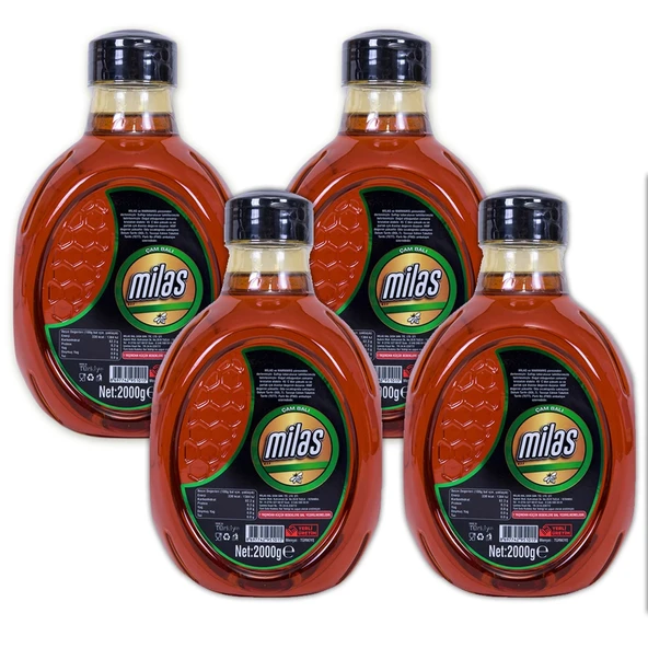 Milas Üreticiler Birliği Çam Balı 4 x 2 KG ürün görseli 1