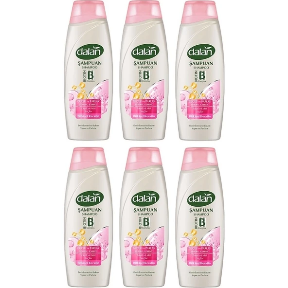 Dalan Şampuan Güçlü ve Parlak 450 ml x 6 Adet ürün görseli 1