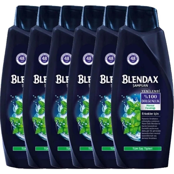 Blendax Erkek Mentol Ferahlığı Şampuan 500 ml x 6 ürün görseli 1