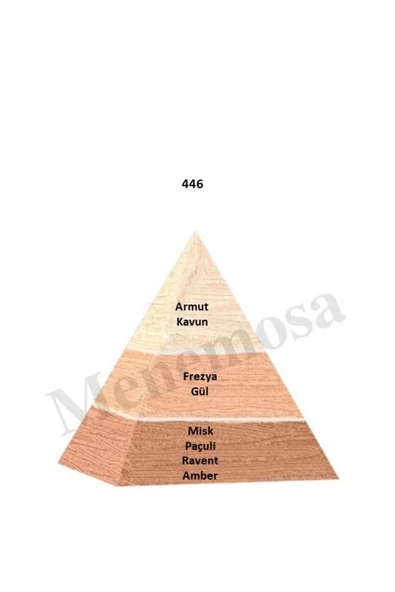 446 + 446 Kadın Parfüm Edp  Floral - Mnms4462 - Resim 2