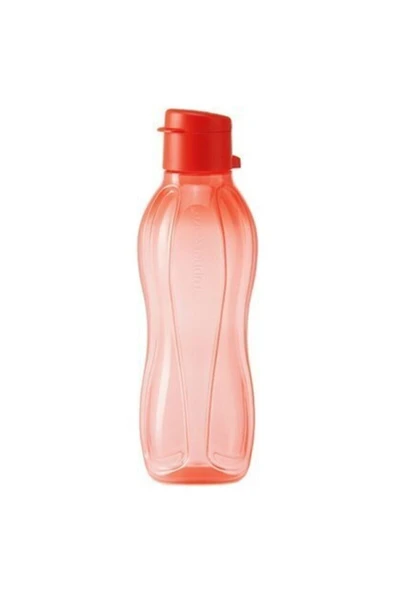 Eko Şişe 500 Ml 2'li Set - Nar Çiçeği Ve Mint - Resim 6