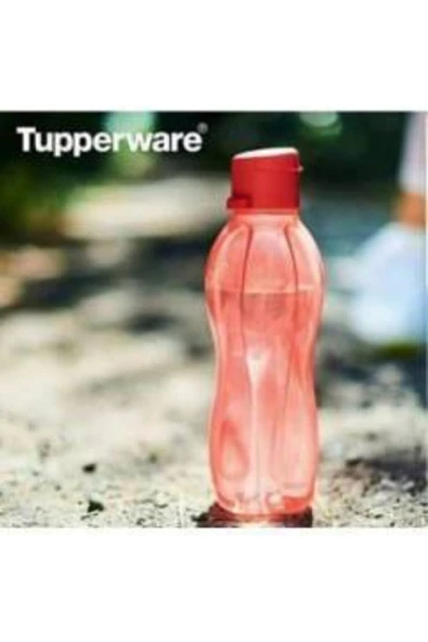 Eko Şişe 500 Ml 2'li Set - Nar Çiçeği Ve Mint - Resim 2
