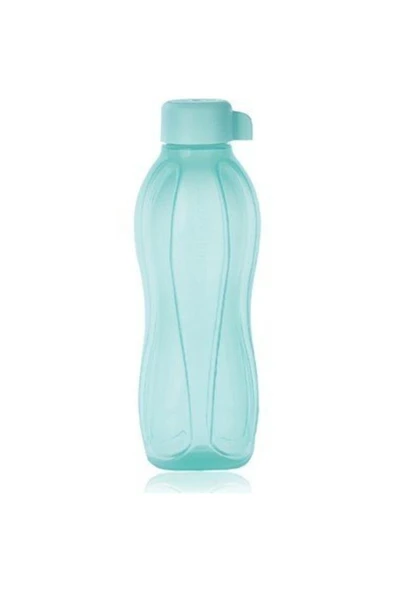 Eko Şişe 500 Ml 2'li Set - Nar Çiçeği Ve Mint - Resim 7