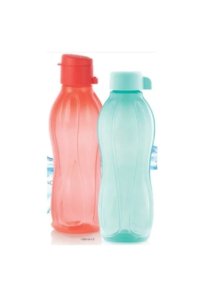 Eko Şişe 500 Ml 2'li Set - Nar Çiçeği Ve Mint ürün görseli 1