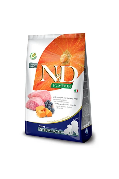 N&D Balkabaklı Kuzulu Orta-Büyük Irk Yavru Köpek Maması 12 KG ürün görseli 1