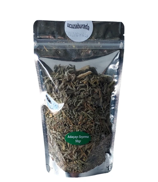 Adaçayı Sıyırma Günbak 50 gr. ürün görseli 1