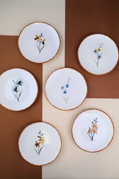 Tabak Evi Porselen Azelya Karma Pasta Tabağı Seti 19,50cm 6 Kişilik 6 Parça ürün görseli 1