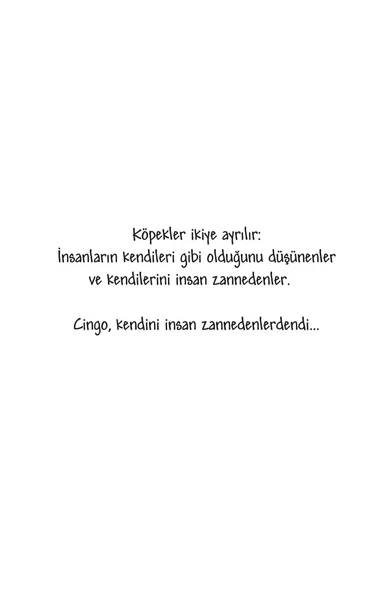 Cingo Şermin Yaşar - Resim 3