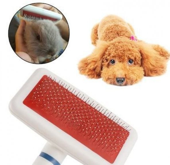 Evcil Hayvan Fırçası Telli Beyaz Köpek Ve Kedi Kaşıma Aparatı Tüy Toparlama Fırçası Yüy Alıcı ürün görseli 1