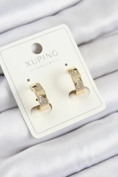 Xuping Zirkon Taşlı Desenli Halka Model Gold Renk Kadın Küpe - TJ-BKP10851 ürün görseli 1