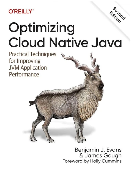 Optimizing Cloud Native Java: Practical Techniques for Improving JVM Application Performance 2nd Edition - Evans, Gough ürün görseli 1