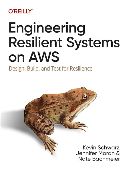 Engineering Resilient Systems on AWS: Design, Build, and Test for Resilience - Schwarz, Moran, Bachmeier ürün görseli 1