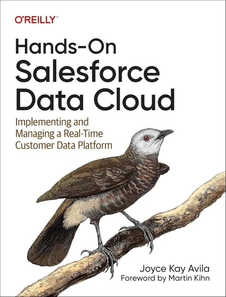 Hands-On Salesforce Data Cloud: Implementing and Managing a Real-Time Customer Data Platform - Joyce Kay Avila ürün görseli 1