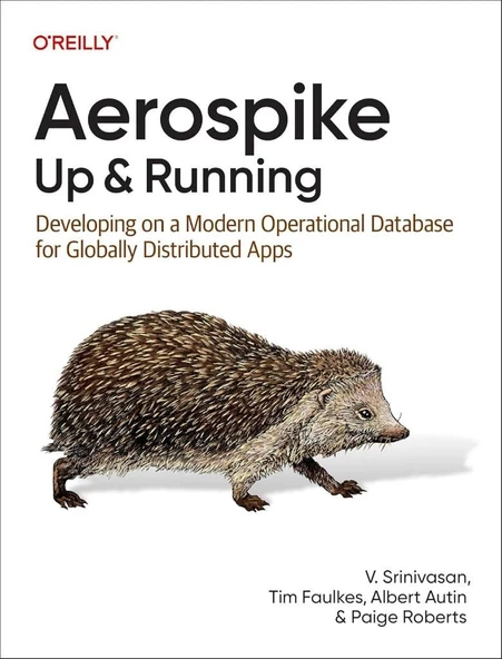 Aerospike: Up and Running: Developing on a Modern Operational Database for Globally Distributed Apps - V. Srinivasan, Faulkes, Autin, Roberts ürün görseli 1