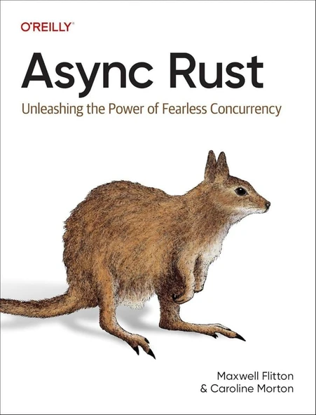 ASYNC Rust: Unleashing the Power of Fearless Concurrency - Flitton, Morton ürün görseli 1