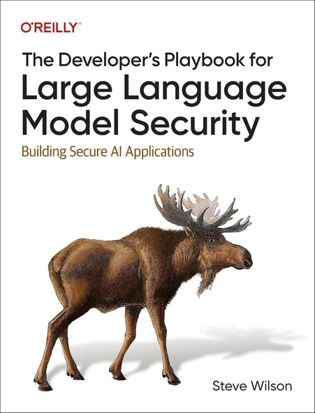 The Developer's Playbook for Large Language Model Security: Building Secure AI Applications - Steve Wilson ürün görseli 1