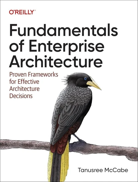 Fundamentals of Enterprise Architecture: Proven Frameworks for Effective Architecture Decisions - Tanu McCabe ürün görseli 1