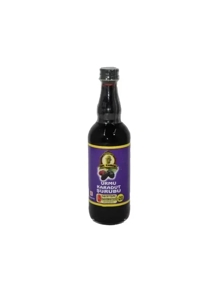 DR. CAROS Karadut Şurubu 100 ml ürün görseli 1